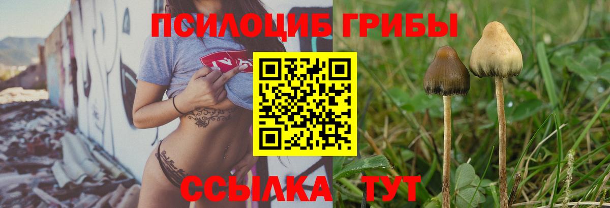 Галлюциногенные грибы GOLDEN TEACHER  Галлюциногенные грибы Psilocybe  Вход с VPN  Полысаево 